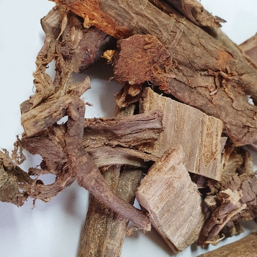 왕느릅나무 껍질(유근피) 50g (Ulmus macrocarpa Bark) 국산-청주