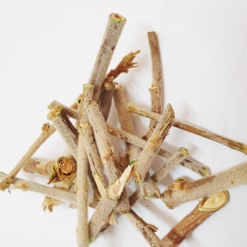비파나무 줄기 50g (Eriobotrya Japonica Stem) 국산-청주