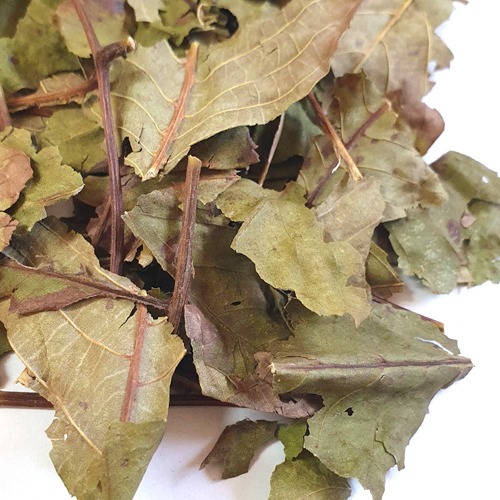 가래나무잎/줄기 50g (Juglans Mandshurica (Walnut) Leaf / Stem) 국산-청주