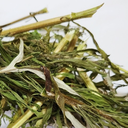 산쑥 전초 50g (Artemisia Montana) 국산-청주
