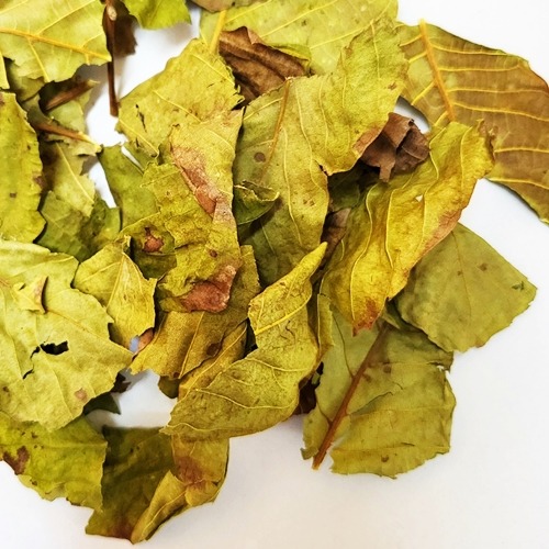 가래나무 잎 50g (Juglans Mandshurica Leaf) 국산-청주