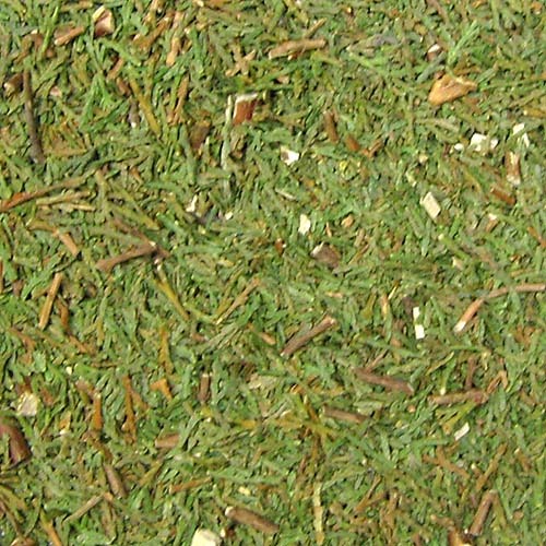 측백나무 전초 100g (Thuja Orientalis) 국산-청주