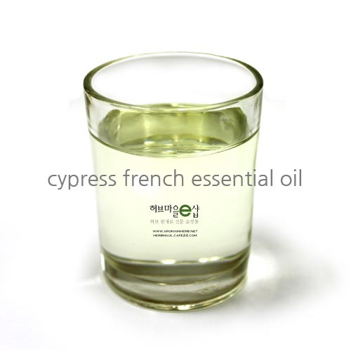 사이프러스 프랜치 에센셜오일 (cypress french essential oil) - 독일산 / 스페인원산