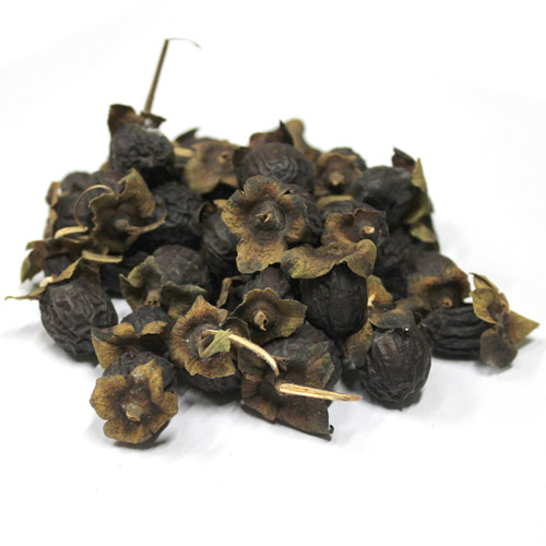 고욤나무열매 50g (Diospyros Lotus Fruit) 국산-청주