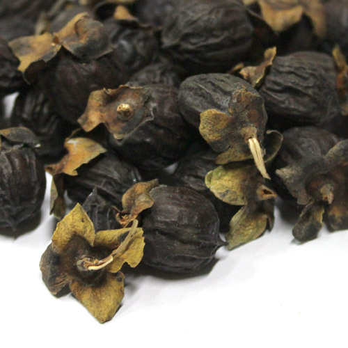 고욤나무 열매 50g (Diospyros Lotus Fruit) 국산-청주