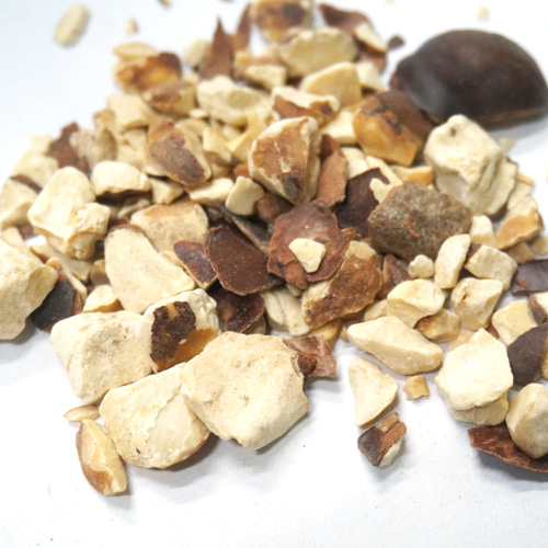 가시칠엽수 씨 50g (Aesculus Hippocastanum (Horse Chestnut) Seed) 불가리아산