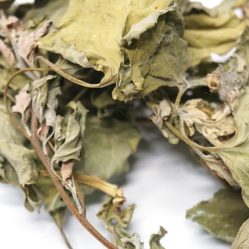 흰명아주 잎/줄기 50g (Chenopodium Album Leaf/Stem) 국산-청주