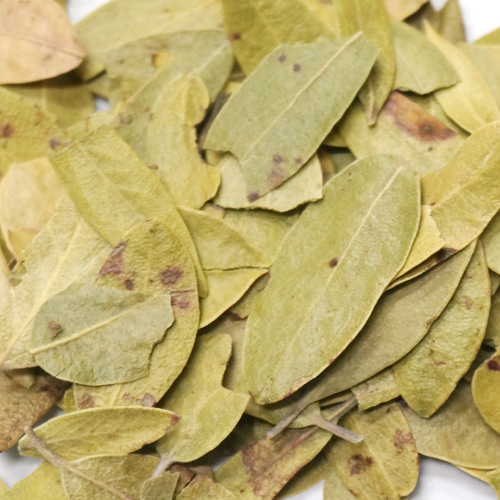 베어베리(월귤나무) 잎 1kg (Arctostaphylos Uva-Ursi Leaf) 멕시코산