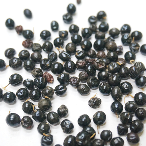 범부채 씨 50g (Belamcanda Chinensis Seed) 국산-청주