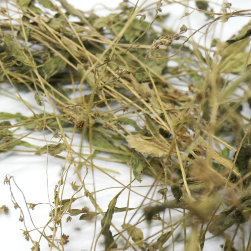 벼잎/줄기 100g (Oryza Sativa (Rice) Leaf/Stem) 국산/청주