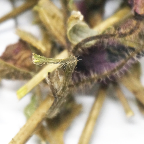 개양귀비 전초 50g (Papaver Rhoeas (Poppy)) 국산-청주