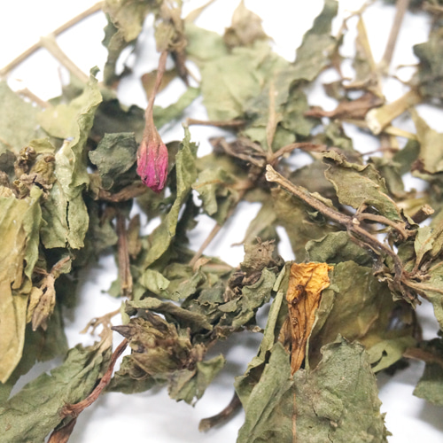 봉선화꽃/잎/줄기 100g (Impatiens Balsamina Flower Leaf Stem) 국산-청주