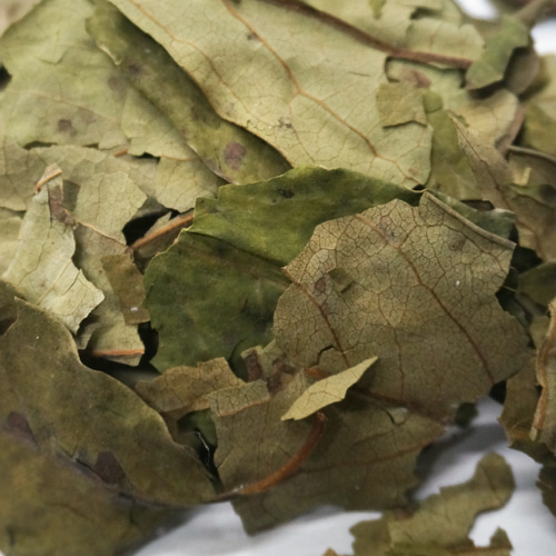 고욤나무 잎 50g (Diospyros lotus  Leaf) 국산-청주