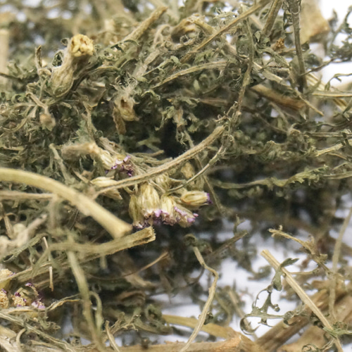 서양톱풀(야로우) 전초 50g (Achillea Millefolium) 국산-청주