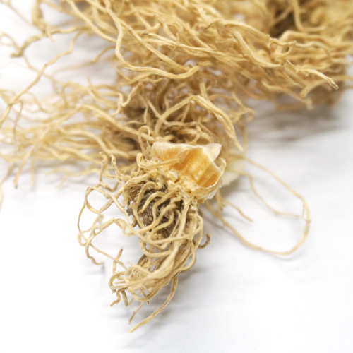 파뿌리 50g (Allium Fistulosum Root) - 한국