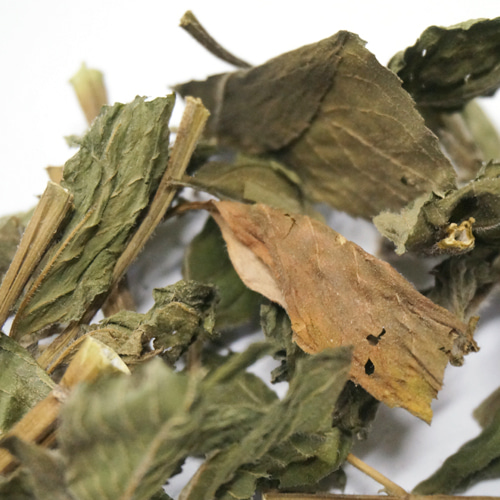 콘민트 잎 50g (Mentha Arvensis Leaf) 국산-청주