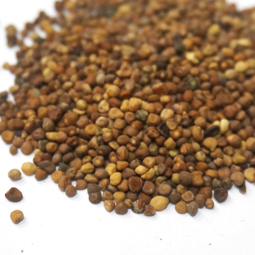 실새삼씨 토사자 50g (Cuscuta Australis Seed) - 한국
