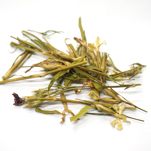 패랭이꽃(석죽) 꽃/잎/줄기  50g (Dianthus Chinensis Flower/Leaf/Stem) 국산-청주