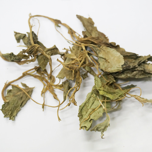 질경이잎 50g (Plantago Asiatica Leaf) 국산-청주