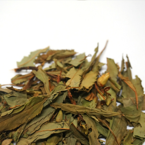 봉선화잎 50g (Impatiens Balsamina Leaf) 국산-청주