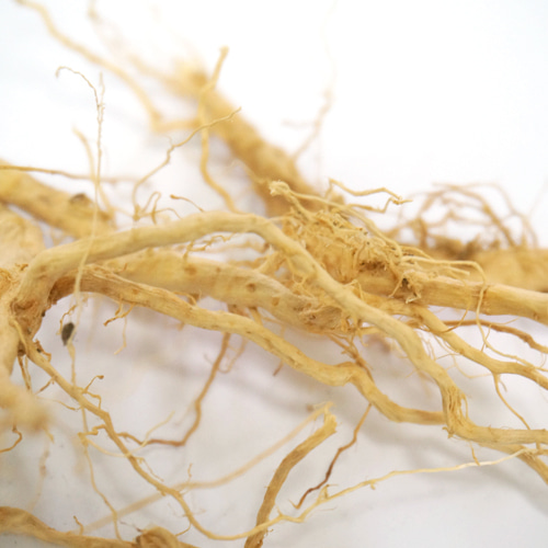 양명아주 뿌리 50g (Chenopodium Ambrosioides Root) 국산