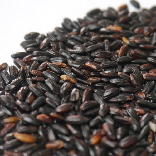 발아흑미 1kg (Germinated Oryza Sativa (Rice)) 국산-청주