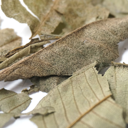 자금우 천냥금 50g (Ardisia Japonica Leaf) 국산