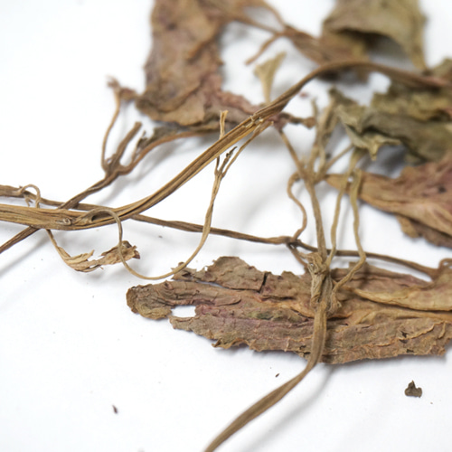 콜레우스 잎/줄기 50g (Coleus Scutellarioides Leaf/Stem)
