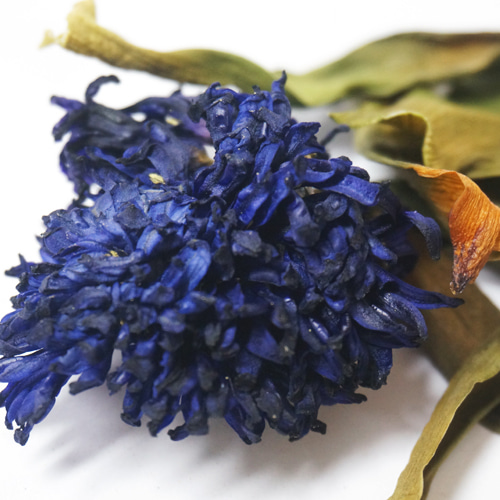 히아신스 꽃 50g (Hyacinthus Orientalis (Hyacinth) Flower) 국산