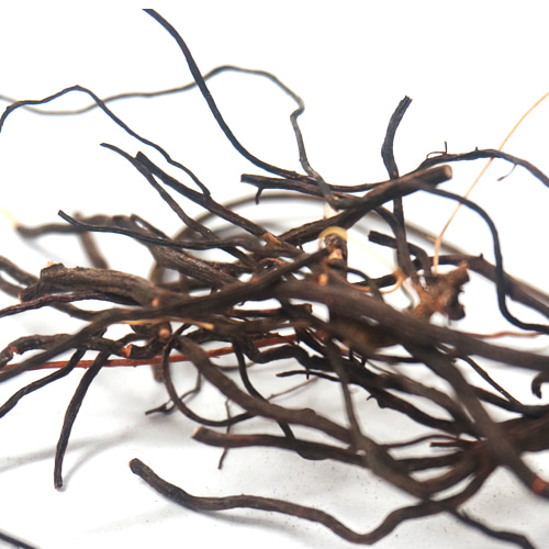 갈퀴꼭두서니뿌리 50g (Rubia Cordifolia Root) 국산