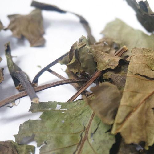 호두나무 잎 50g (Juglans Regia (Walnut) Leaf) 국산