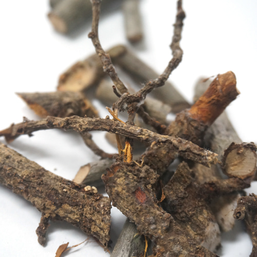 개암나무 50g (Corylus heterophylla) 국산-청주