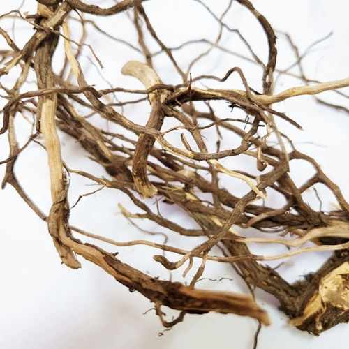 로즈마리뿌리 50g (Rosmarinus Officinalis Root) 국산-청주