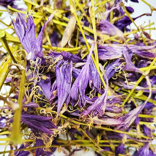 비비추꽃 50g (Hosta Longipe Flower) 국산-청주
