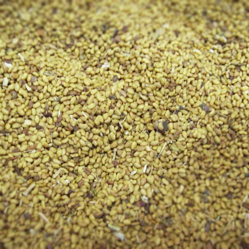 자주개자리잎가루(알파파잎가루) (80Mesh) 1kg (Medicago Sativa (Alfalfa) Leaf Powder) 미국