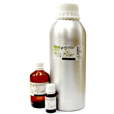 파인 에센셜오일 (pine essential oil) - 미국 / 인도