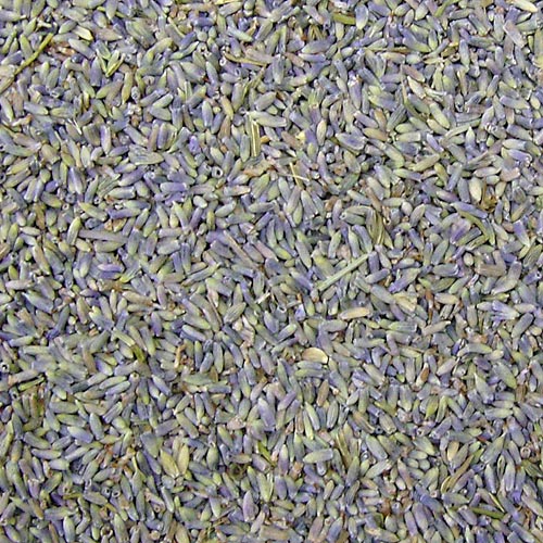 라벤다 에센셜오일 (lavender essential oil) - 미국산/인도원산