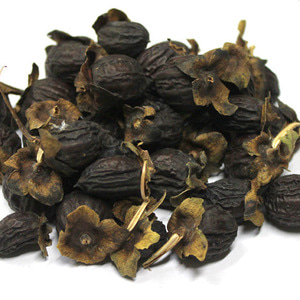 고욤나무열매 50g (Diospyros Lotus Fruit) 국산-청주