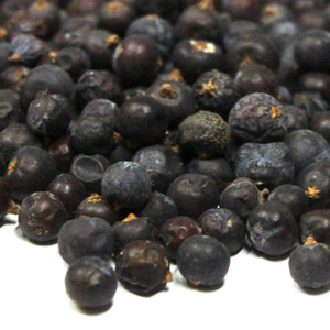 두송 열매 1kg (Juniperus Communis(Juniper berries) Fruit) 국산
