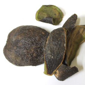 아보카도 열매 100g (Persea Gratissima (Avocado) Fruit) 멕시코산
