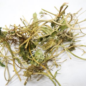 박주가리(새박덩굴) 전초 50g (Metaplexis japonica) 국산-청주