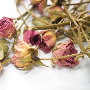 미니장미 50g (Rose) 국산-청주