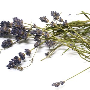 잉글리쉬라벤더 전초 50g (Lavender Angustifolia (English Lavender)) 국산