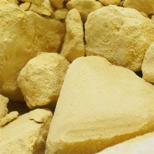 당호박 가루 1kg (Cucurbita Pepo Powder) 국산-청주