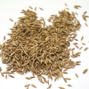 쿠민씨 50g (Cuminum Cyminum (Cumin) Seed) - 인도
