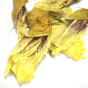 오크라꽃 50g (Hibiscus Esculentus Flower)