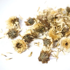 국화꽃 50g (Chrysanthemum Flower) 국산