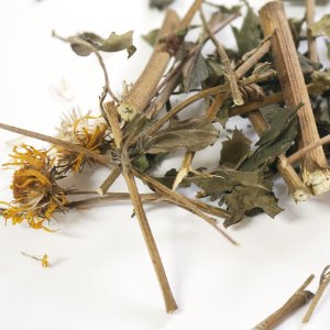 금불초 꽃/잎/줄기 50g (Inula Britannica Flower/Leaf/Stem) 국산