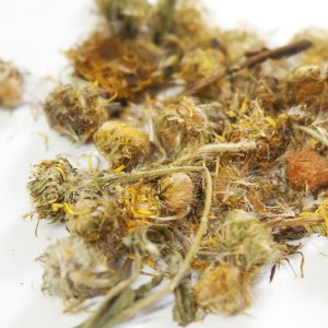 금불초 꽃 50g (Inula Britannica Flower) 중국