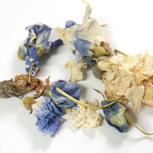 도라지꽃 50g (Platycodon Grandiflorus Flower) 국산-청주